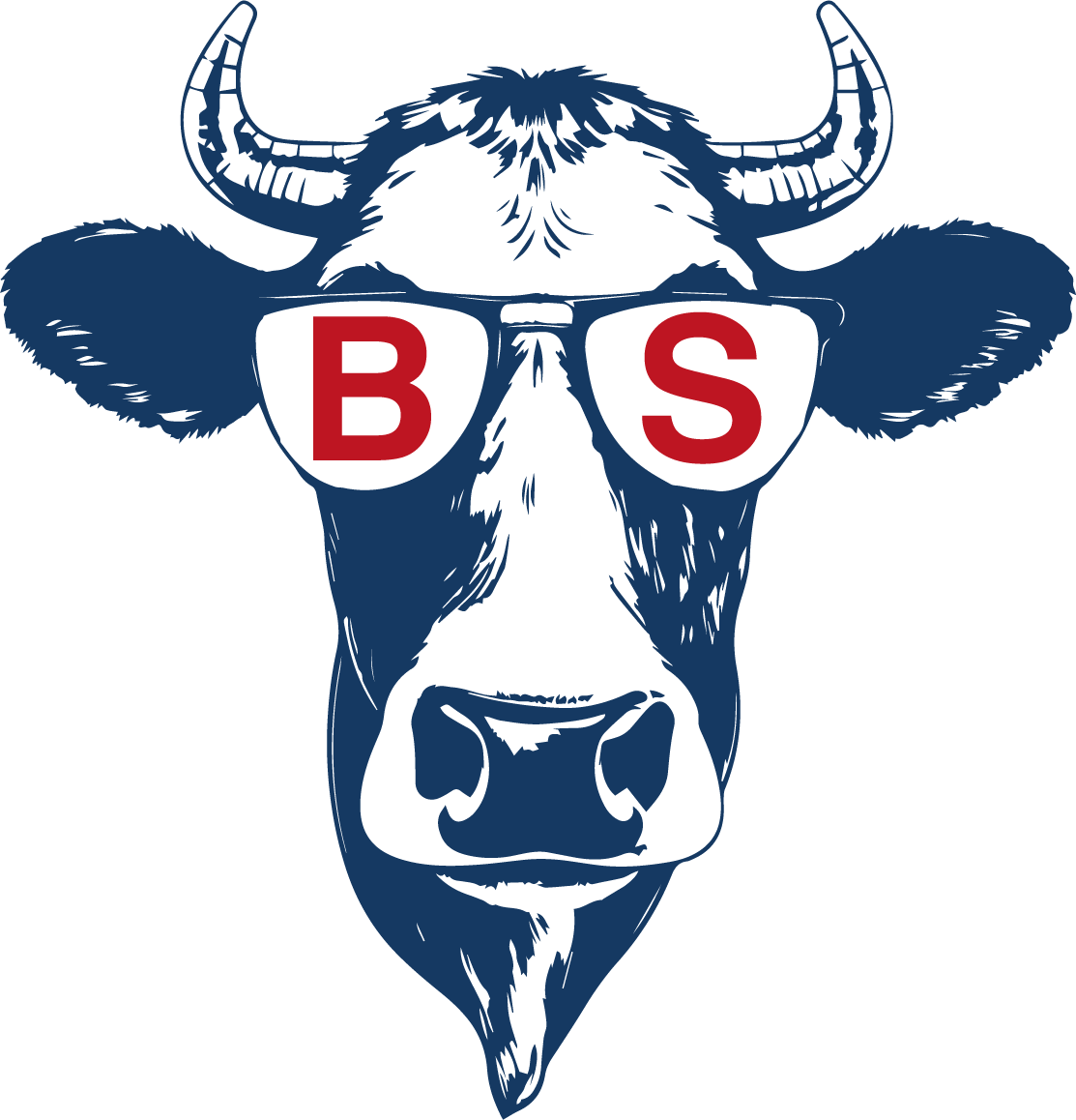 BS Animal Health logo